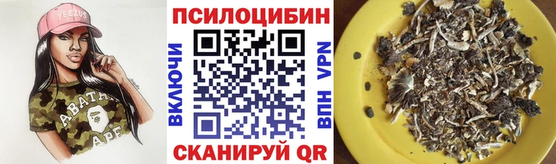 мега зеркало  Людиново  Псилоцибиновые грибы Psilocybine cubensis  закладка 